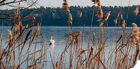 Keyvisual Preise Mobil V2