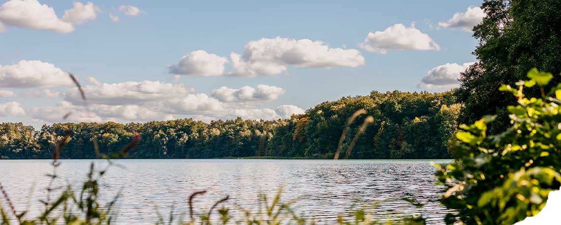 Keyvisual Preisuebersicht